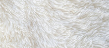 Long Pile Carpet Texture. Abstract Background Of Shaggy White Fibers. High Quality Photo