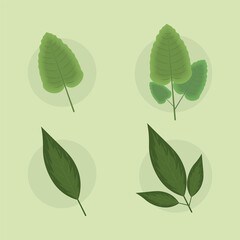 Wall Mural - icons leaves nature