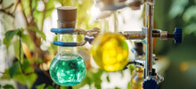 Scientific Glass Flasks Containing Green And Yellow Chemical Reagent Liquid Holding By Clamp For Students Or Researchers. Substance Study, Test In College Lab. Close Up, Blurred Background.