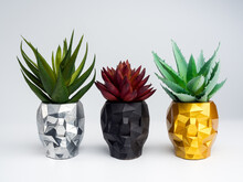 Black, Silver, And Gold Color Skull Shape Plant Pots With Red And Green Succlent Plants Isolated On White Background. Small Modern DIY Cement Planter Trendy Decoration.