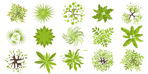 Wall Mural - Trees and plants top view for architectural and landscape design. Different colored plants, grass and trees vector set. Graphic, isolated on white. Elements for design projects. Green spaces.