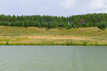 Wall Mural - Summer landscape with lake shore and forest on a cloudy day