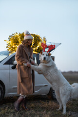 Wall Mural - Woman playing with her cute white dog near car and illuminated Christmas tree on a rooftop on nature at dusk. Concept of celebrating New Year holidays. Idea of Christmas mood and fun