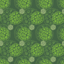 Vector Green Monochrome Background Seamless Pattern With Hand Drawn Lotus Seed Pods. Suitable For Textile, Gift Wrap And Wallpaper.