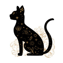 Black Cat Silhouette And Magical Elements. Moden Trend Mystic, Astrology, Crystals. Vector Illustration