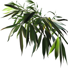 Sticker - green bamboo lush branch on white