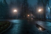 Street Lights Foggy Misty Night Lamp Post Lanterns City Road. Night Fog Park