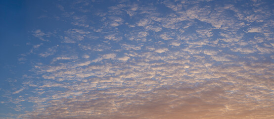 Wall Mural - Cirrus cloudscape on blue sky. The evening sunset. Majestic Clouds.