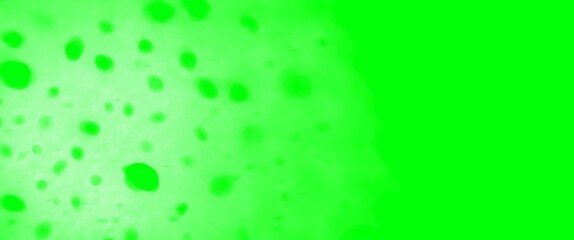 Wall Mural - water drops on a green background