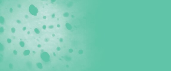 Wall Mural - water drops on a glass
