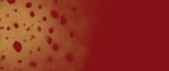 Poster - red rose petals background