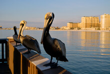 Three Pelicans Perched On Boardwalk Rail During Sunset