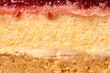© Aida Servi - close up of texture of cheesecake