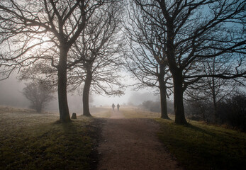 a walk though the mist