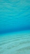 © Tomo - 【グラフィック素材】エメラルドグリーンの海中風景と砂紋