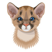 Funny Cougar Cub  Portrait Illustration