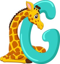 Alphabet Letter G For Giraffe