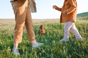 Wall Mural - A hipster family walks in a summer field.