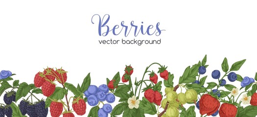 Aufkleber - Berries border on white background. Banner with vintage botanical pattern. Backdrop with natural decoration of fruit plants, bilberry, blackberry and strawberry branches. Drawn vector illustration