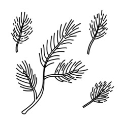  Pine tree branches set. Hand drawn vector illustration isolated on white. Great for xmas and New year greeting cards, posters.	