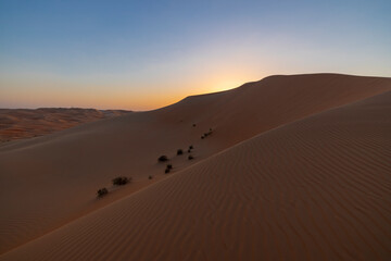 Wall Mural - Sunset in the arabian desert with rolling sand dunes in Abu Dhabi, United Arab Emirates