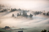 Fototapeta Łazienka - fog in the mountains