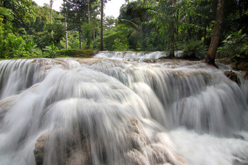 waterfall in green forest