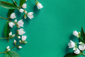 Sticker - Beautiful white jasmine flowers on a blue background. Flat lay with copy space for the wedding, birthday, party or other celebration.	