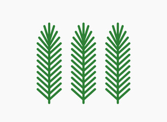 Canvas Print - christmas tree fir branches isolated on white background.