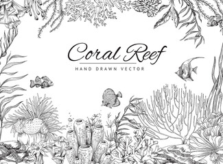Coral reef hand drawn banner or flyer, vector illustration in engraved sketch style.