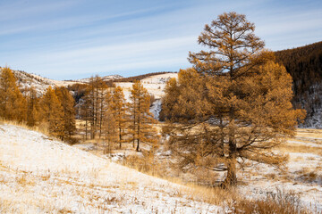 Wall Mural - autumn in the mountains