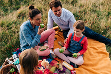 Family Having Food On Picnic Blanket At Grass Area