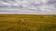 A bale of hay sitting in the middle of a field in the great plains of North Dakota.