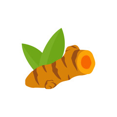 Wall Mural - turmeric logo icon design template vector
