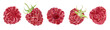 Set of watercolor raspberries isolated on white background.