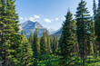 View from Jackson Glacier Overlook on the Going to the Sun Road in Glacier National Park in Montana on a sunny summer day, with mountains, forest, and snow