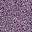 Pink vector print leopard. seamless print of leopard skin. pattern of animal skins for clothing or print. feline family 
