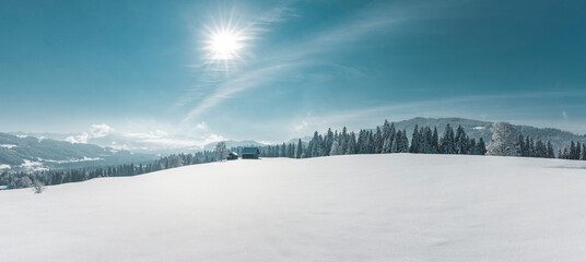 Canvas Print - Wunderschöne Winterliche Märchenlandschaft mit verschneitem Tannenwald