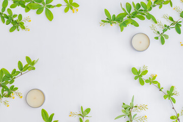 Wall Mural - flat lay composition with branches and green leaves on a white background