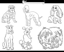 Cartoon Purebred Dogs Comic Characters Set Coloring Book Page