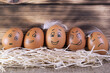 Five brown eggs with funny faces on a wooden background