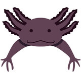 Fototapeta Dinusie - Vector Axolotl cutáneo (Ambystoma mexicanum), ajolote negro, ilustración digital