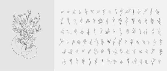 Wall Mural - floral branch and minimalist flowers for logo or tattoo. hand drawn line wedding herb, elegant leave