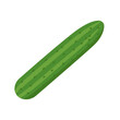 cucumber vector illustration logo icon clipart 