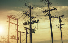 Wooden Electric Poles And High Voltage Infrastructure