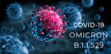 Coronavirus  Variant Omicron Covid-19