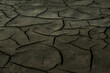 Texture of dry cracked earth. The desert background. The global shortage of water. Deep cracks in brown land as symbol of hot climate and drought.