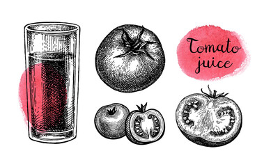 Wall Mural - tomatoes and juice ink sketches.