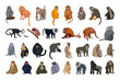 Vector collection of monkeys in a detailed style.