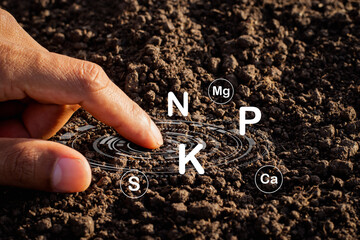 Wall Mural - The man's hand was touching the soil rich in various minerals.